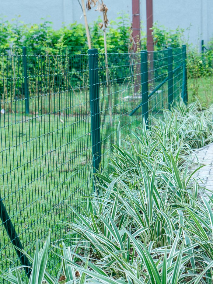 Tela Galvanizada Revestida em PVC Manchester Cercas instalada em jardim